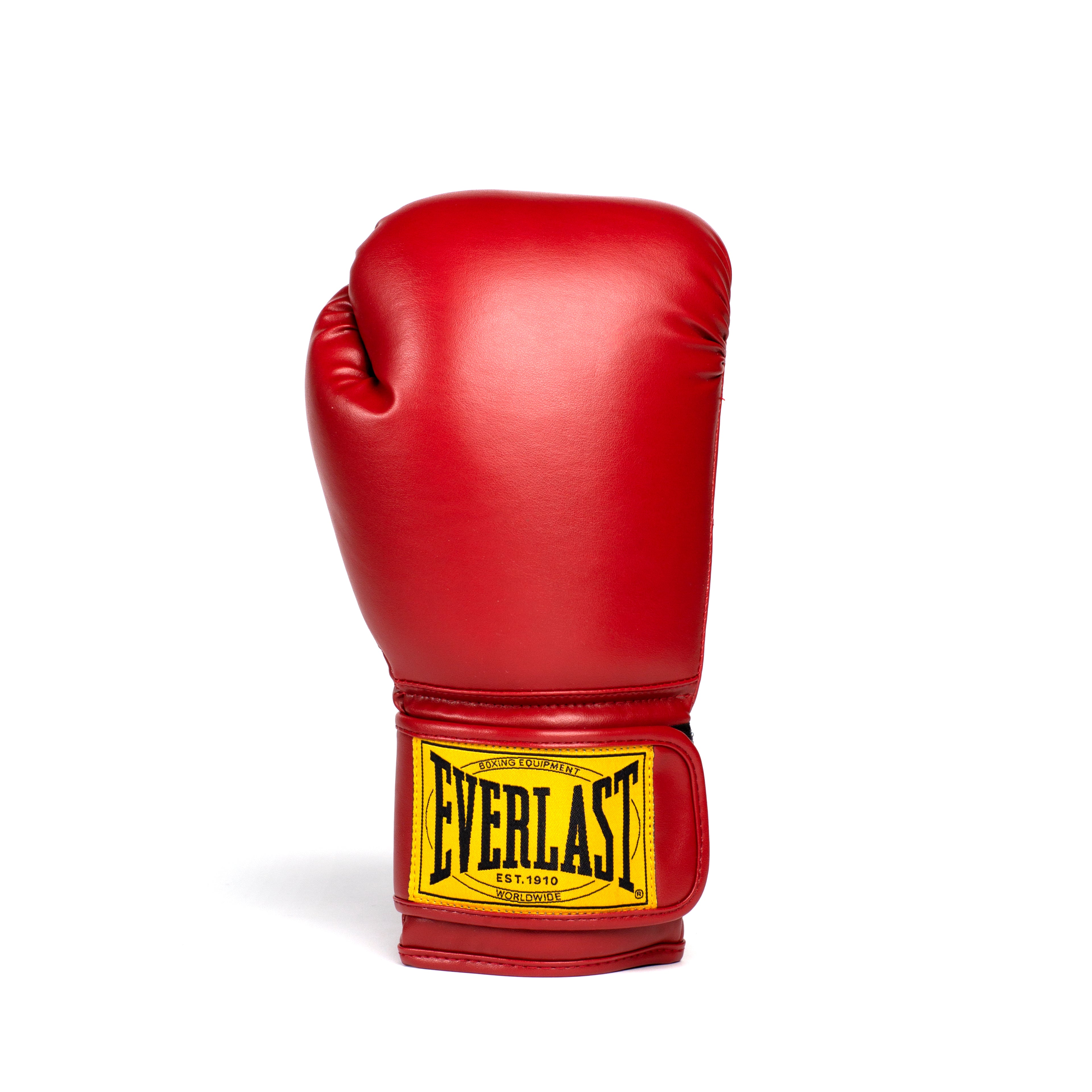 Everlast 18 oz boxing gloves online