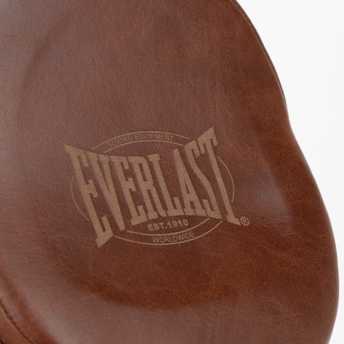 Orders everlast focus mitts