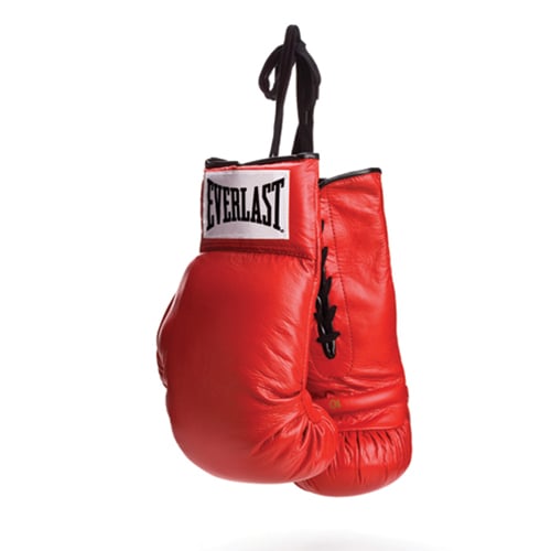 Red everlast boxing gloves online