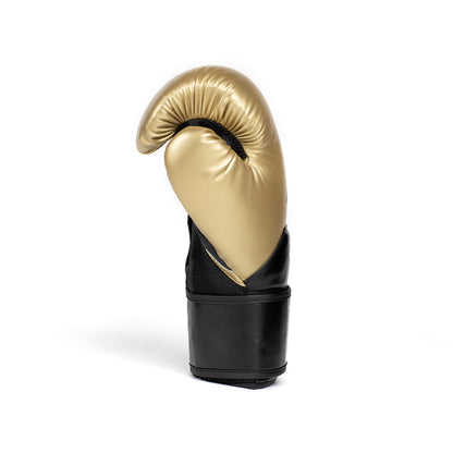 Elite 2 Boxing Glove