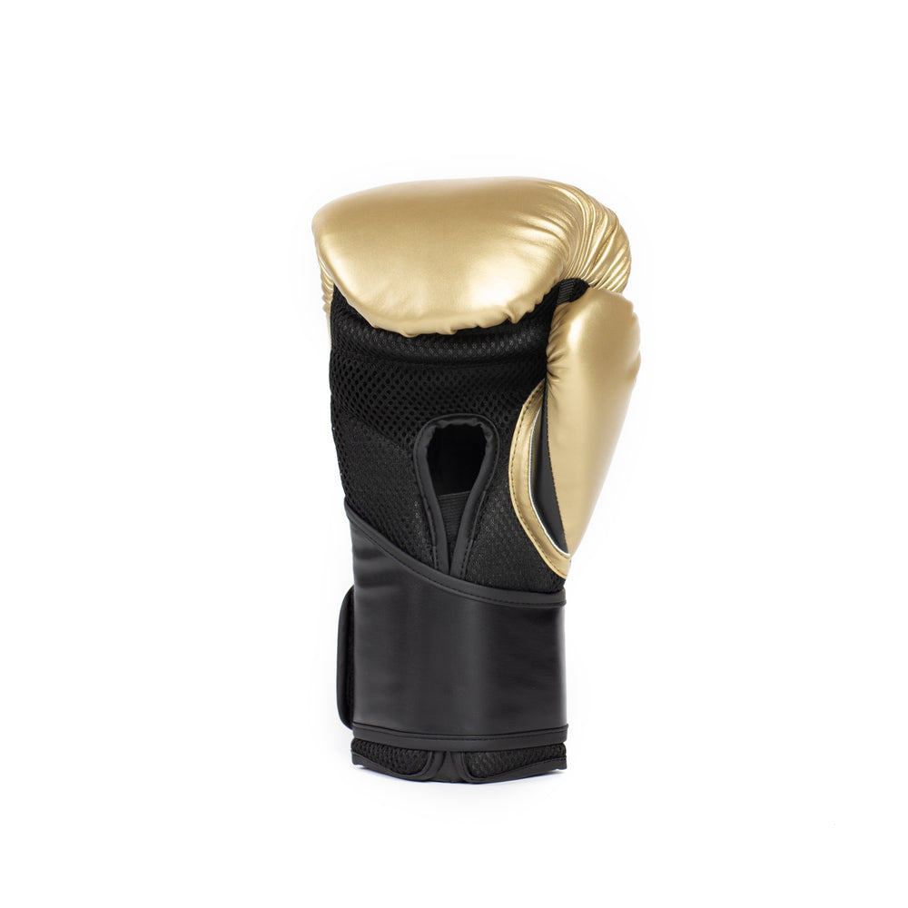 Elite 2 Boxing Glove