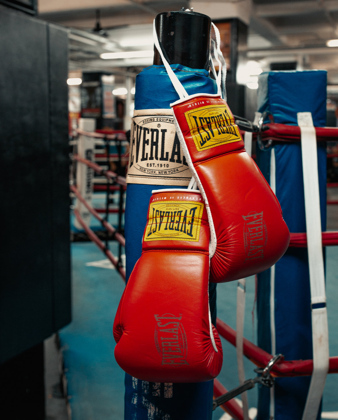 Everlast sparing sale equipment