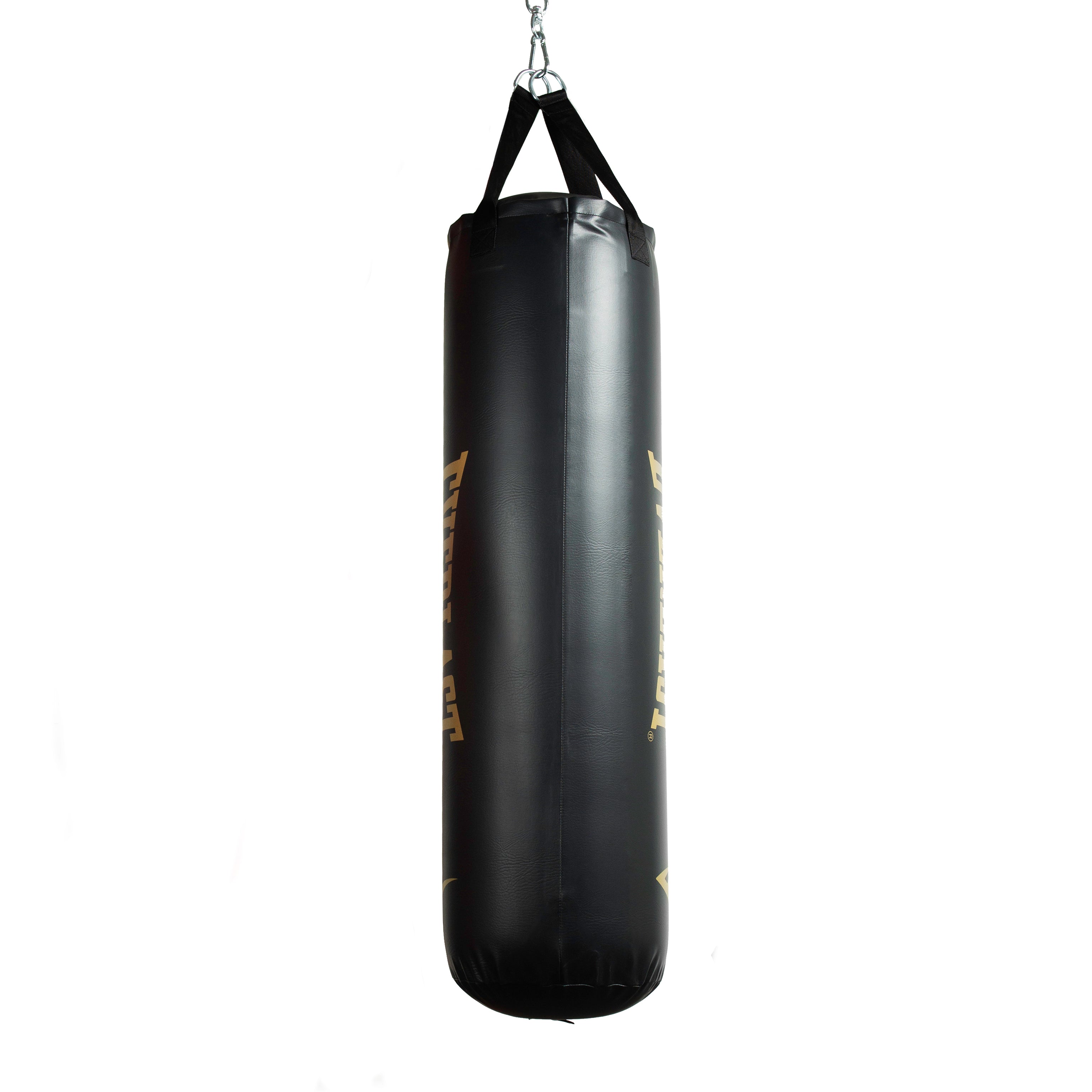 Everlast 60 lb punching bag online