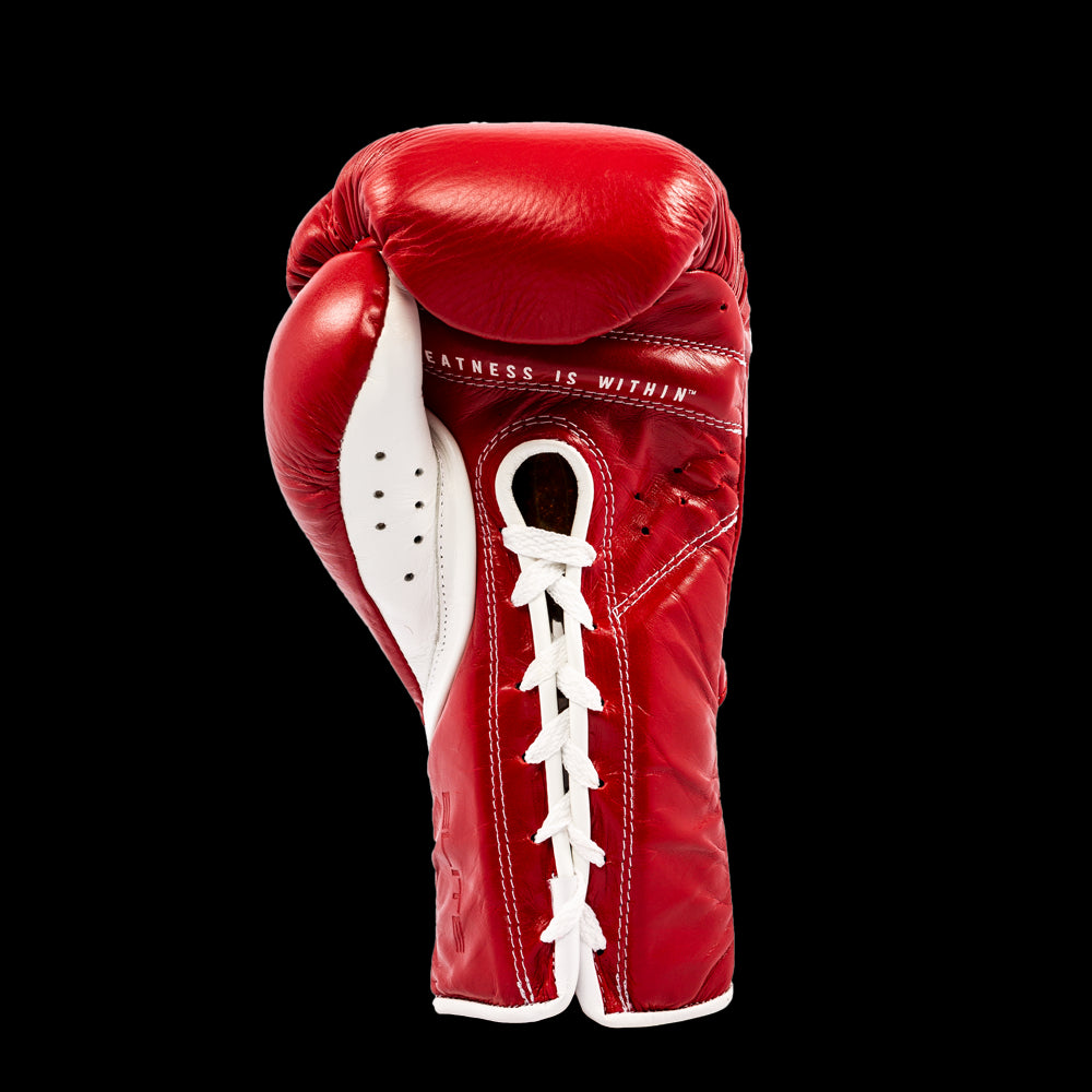 Pro fight boxing gloves online